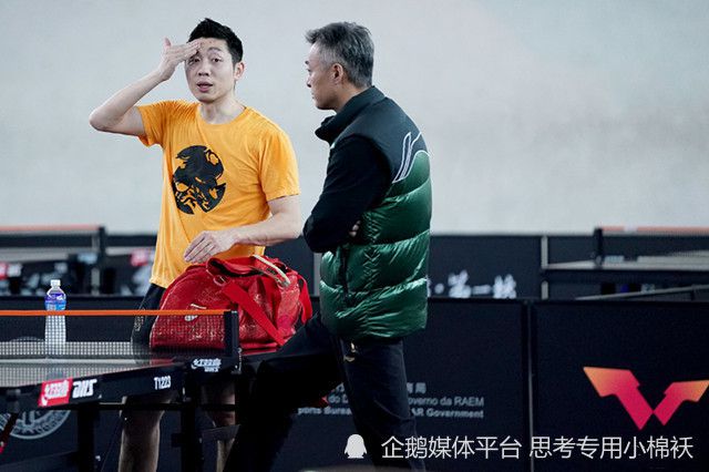 免费的黄色网址