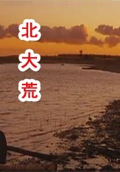 离家出走的女大学生