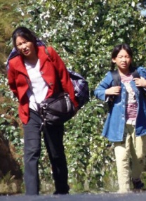 91黄色免费下载