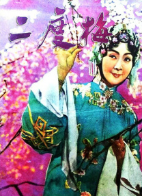 亚洲精品456在线播放无广告