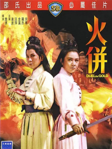 亚洲精品无播放器在线看观看